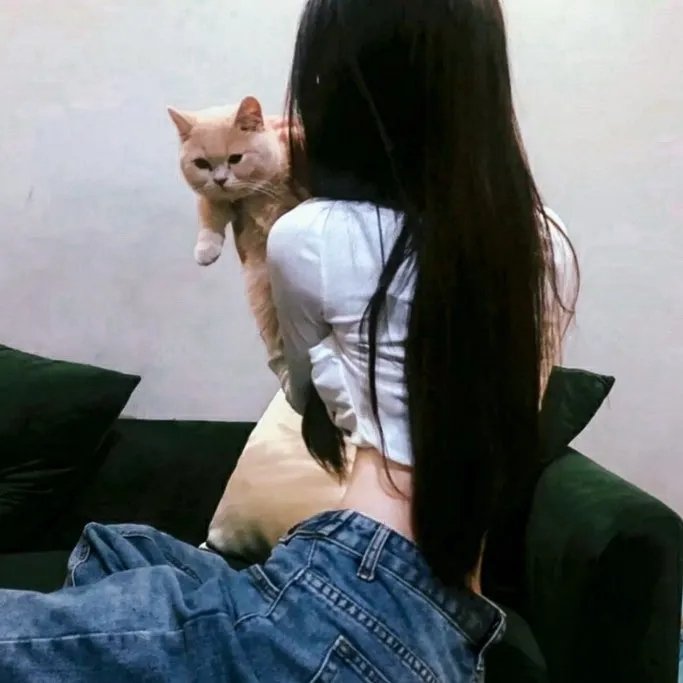 第八日